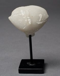 Image of "Stargazer" Kiliya Type Idol Head