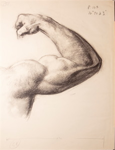 Image of Sketch of right shoulder and arm