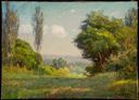 Image of A Summer Day