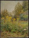 Image of Late Summer (Garden Scene)