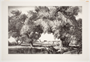 Image of Cape Ann Willows