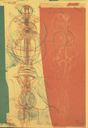 Image of Untitled, from the portfolio "2 Times 5 Bats"