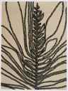 Image of Bared from the portfolio Across the Grain: An American Woodcut Portfolio