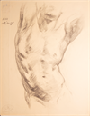 Image of Sketch of male torso