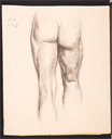 Image of Sketch of backside and legs